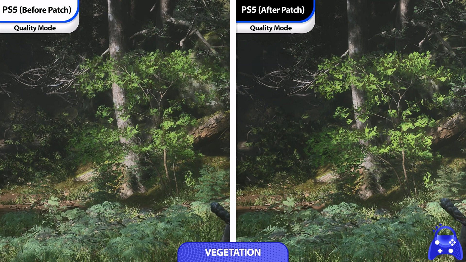 《黑神話》PS5更新前後對比:畫面表現進一步提升! 《黑神話》PS5更新前後對比:畫面表現進一步提升!