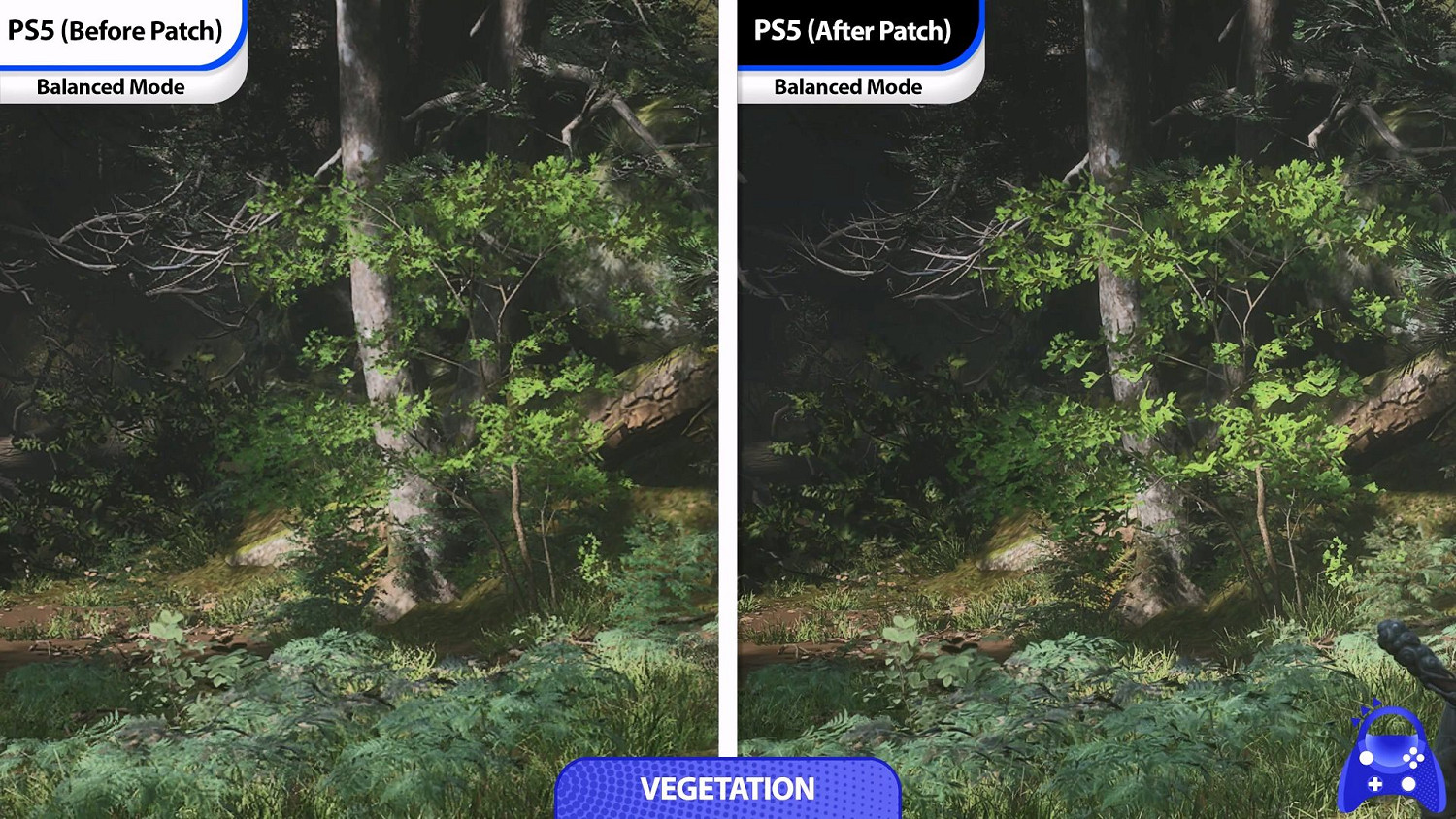 《黑神話》PS5更新前後對比:畫面表現進一步提升! 《黑神話》PS5更新前後對比:畫面表現進一步提升!