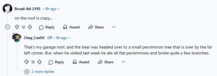 壞了這是真熊!外國玩家玩《星露谷》時遭遇棕熊串門！