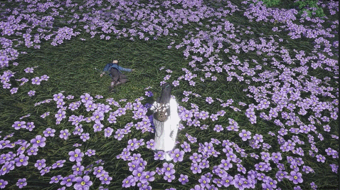 《燕雲十六聲》武學明川藥典介紹 《燕雲十六聲》武學明川藥典介紹