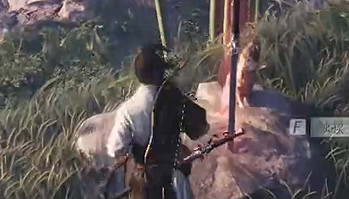 《燕雲十六聲》竹林舊居貓戲全收集攻略介紹