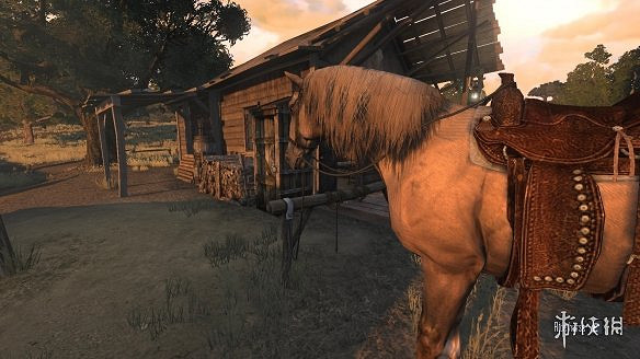 外國網友送老婆《荒野大鏢客2》沒想到這麽冷酷