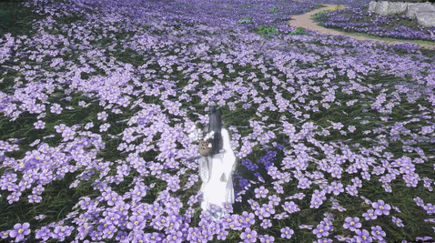 《燕雲十六聲》武學明川藥典介紹 《燕雲十六聲》武學明川藥典介紹