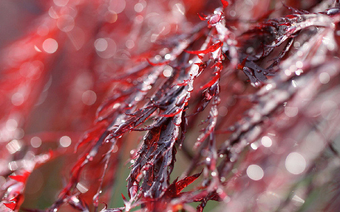 《英雄聯盟》幸運的名字大全