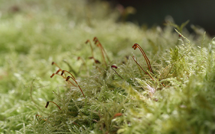 《英雄聯盟》幸運的名字大全