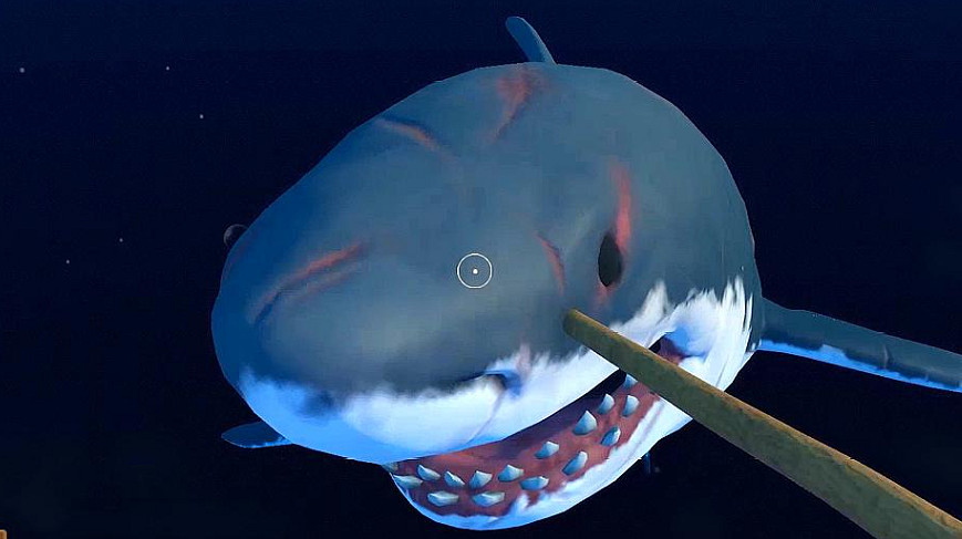 《木筏求生》兩條鯊魚情況說明 《木筏求生》兩條鯊魚情況說明