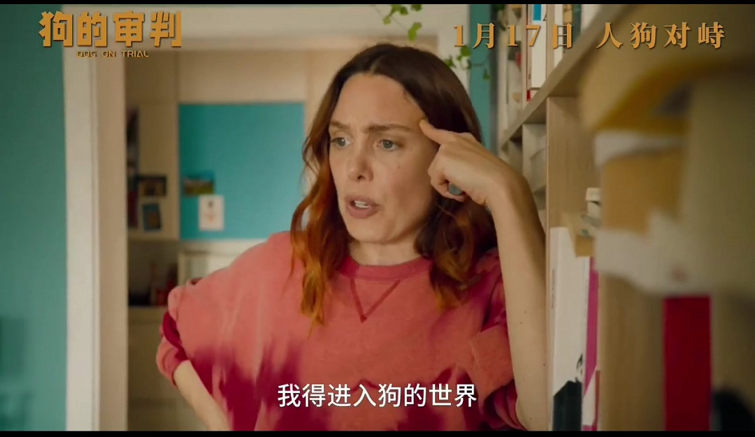 電影《狗的審判》定檔 1月17日全國上映 電影《狗的審判》定檔 1月17日全國上映