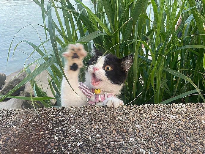 《英雄聯盟》52o小符號有小愛心網名分享 《英雄聯盟》52o小符號有小愛心網名分享