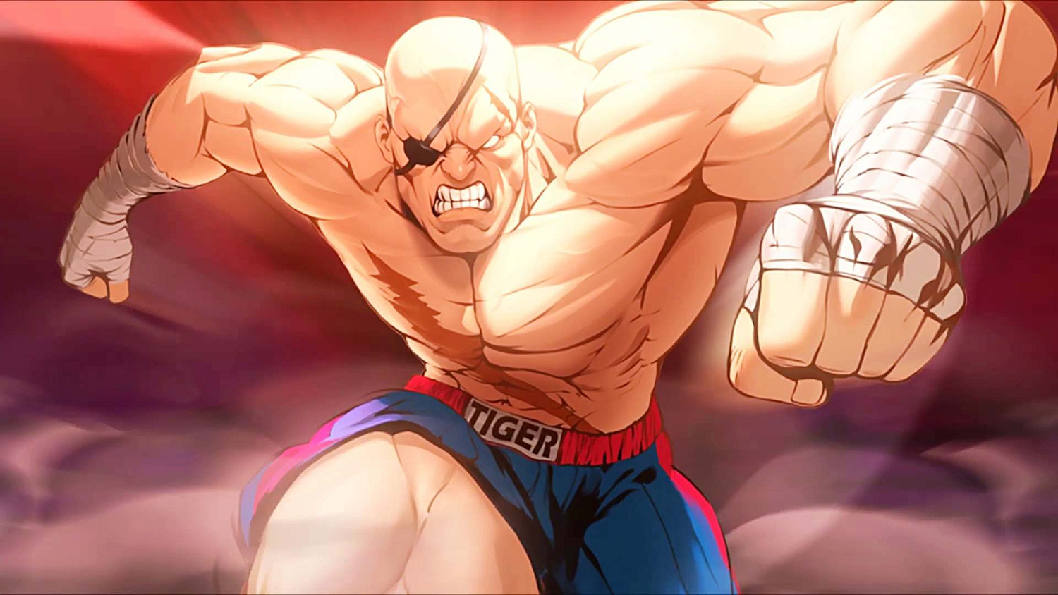 《快打旋風6》角色國籍一覽