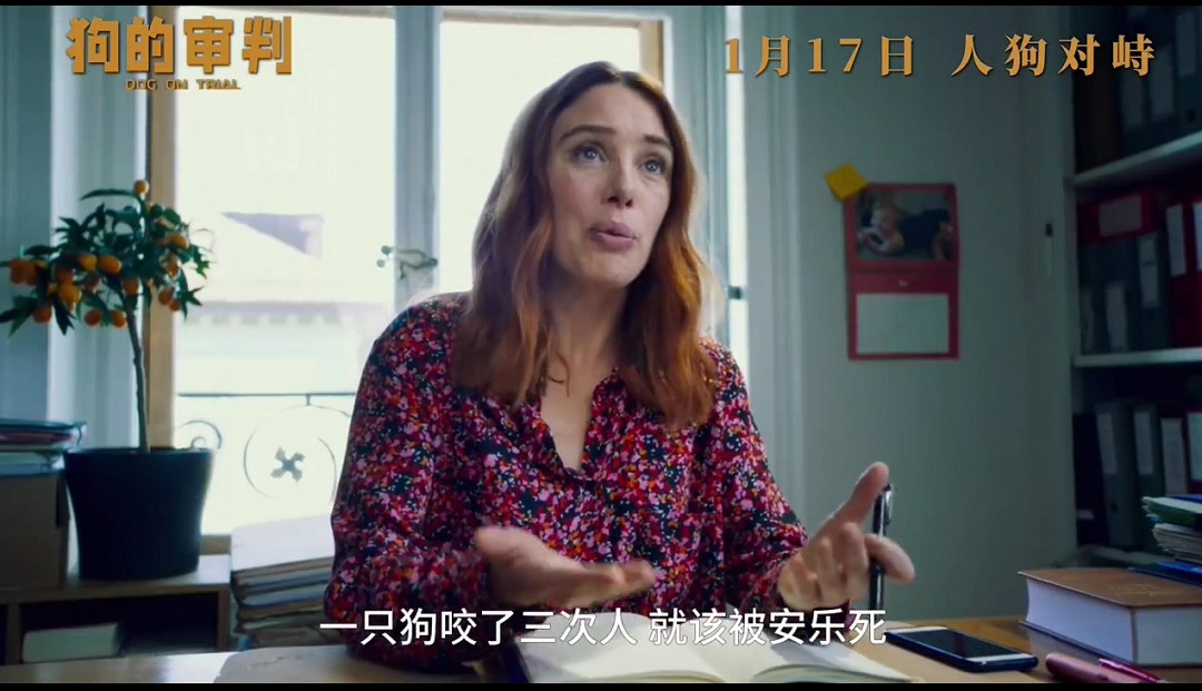 電影《狗的審判》定檔 1月17日全國上映 電影《狗的審判》定檔 1月17日全國上映