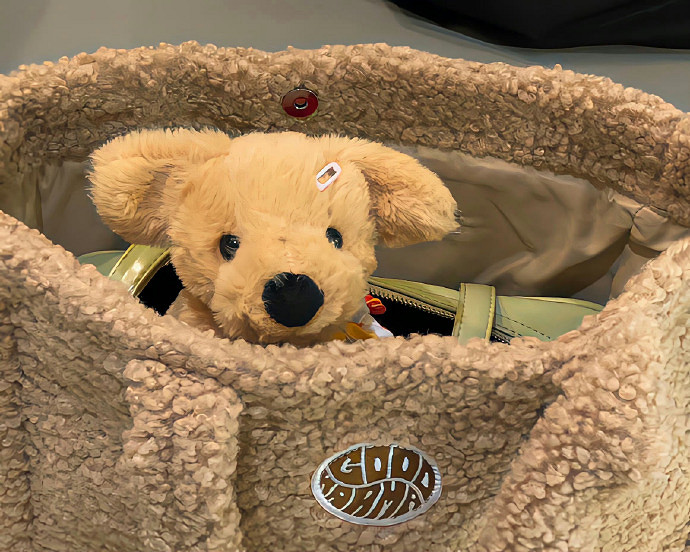 《英雄聯盟》ᥫᩣ冷訫花式網名帶尾巴一覽 《英雄聯盟》ᥫᩣ冷訫花式網名帶尾巴一覽