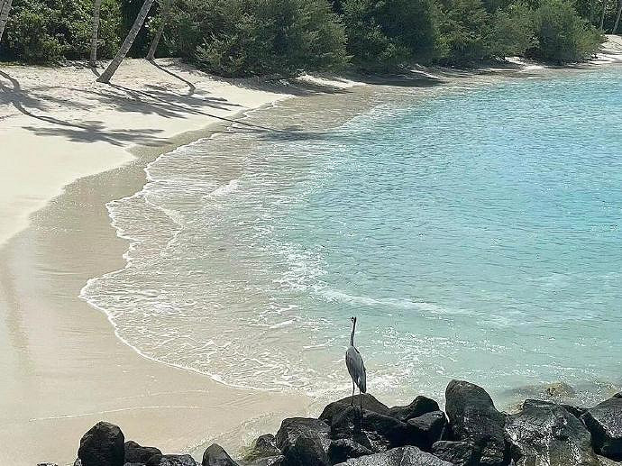 《英雄聯盟》乾淨氣質高冷網名一覽 《英雄聯盟》乾淨氣質高冷網名一覽