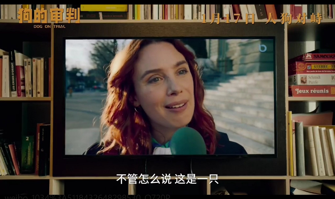 電影《狗的審判》定檔 1月17日全國上映 電影《狗的審判》定檔 1月17日全國上映
