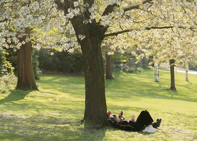 《英雄聯盟》ᥫᩣ冷訫花式網名帶尾巴一覽 《英雄聯盟》ᥫᩣ冷訫花式網名帶尾巴一覽