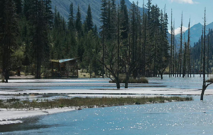 《英雄聯盟》花式網名大全花樣符號可貼上複製