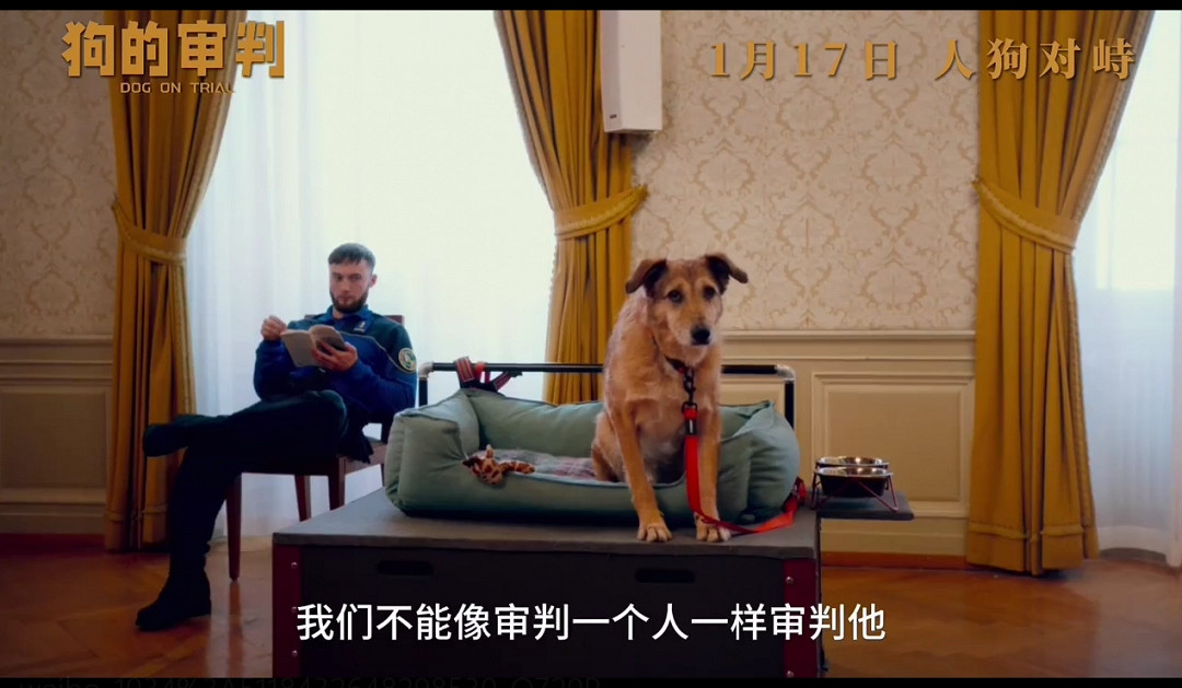 電影《狗的審判》定檔 1月17日全國上映 電影《狗的審判》定檔 1月17日全國上映