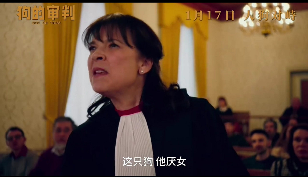 電影《狗的審判》定檔 1月17日全國上映 電影《狗的審判》定檔 1月17日全國上映