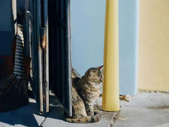 《英雄聯盟》代表未來會更好的網名介紹