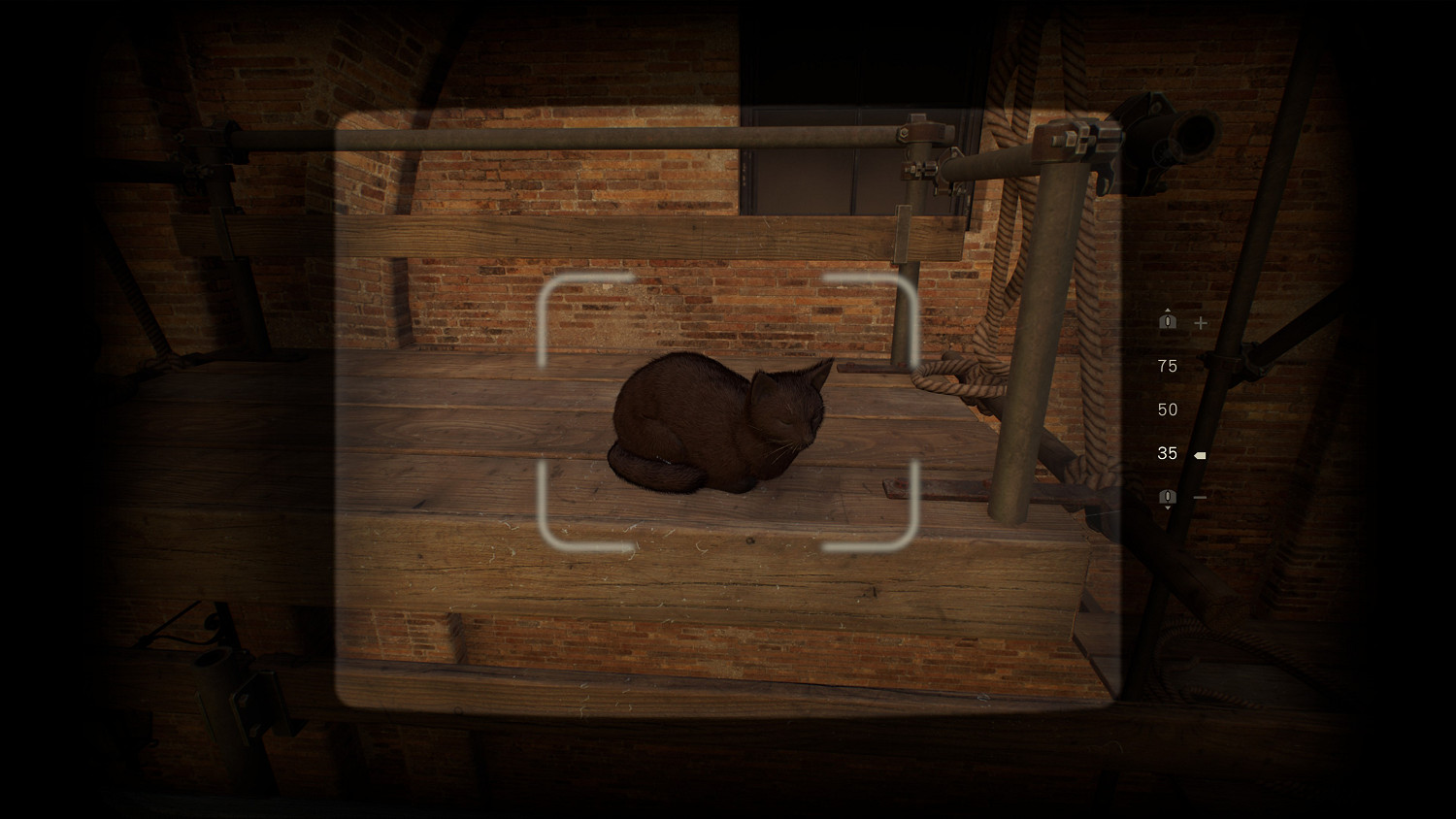 《古老之圈》是2024最佳優化？未解之謎—消失的燈泡