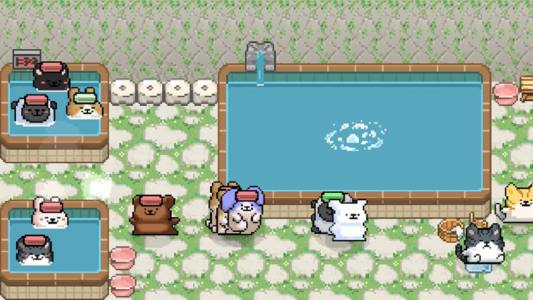 模擬遊戲《動物溫泉》Steam頁面上線 明年發售 模擬遊戲《動物溫泉》Steam頁面上線 明年發售