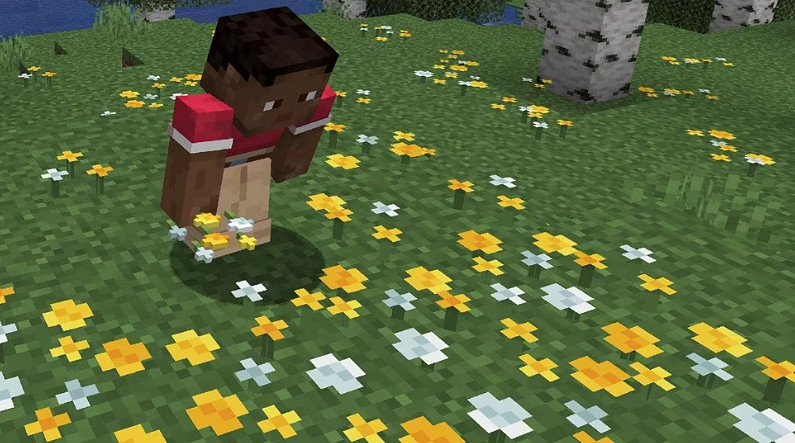 《minecraft》2025年首個更新!又是經典的mod官方收編 《minecraft》2025年首個更新!又是經典的mod官方收編