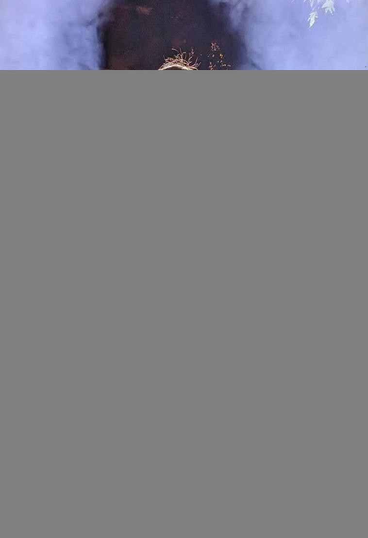 《漫威爭鋒》"隱形女"體模蜜桃臀太吸睛!cos美照合集 《漫威爭鋒》"隱形女"體模蜜桃臀太吸睛!cos美照合集