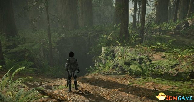 旺達與巨像白金成就路線攻略 旺達與巨像白金成就路線攻略