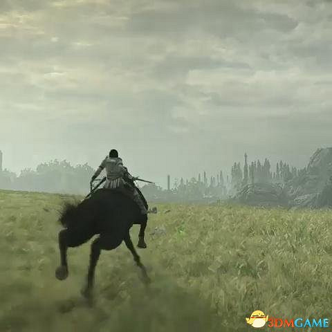 傾注靈魂《旺達與巨像》重製版背後大佬感謝玩家 傾注靈魂《旺達與巨像》重製版背後大佬感謝玩家