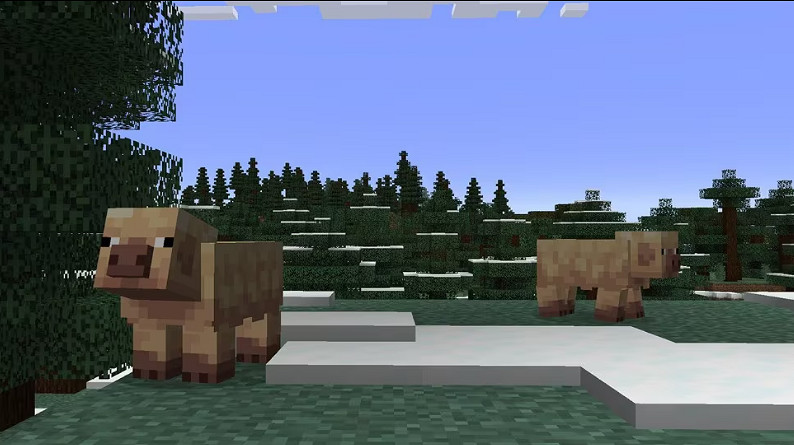 《minecraft》2025年首個更新!又是經典的mod官方收編 《minecraft》2025年首個更新!又是經典的mod官方收編