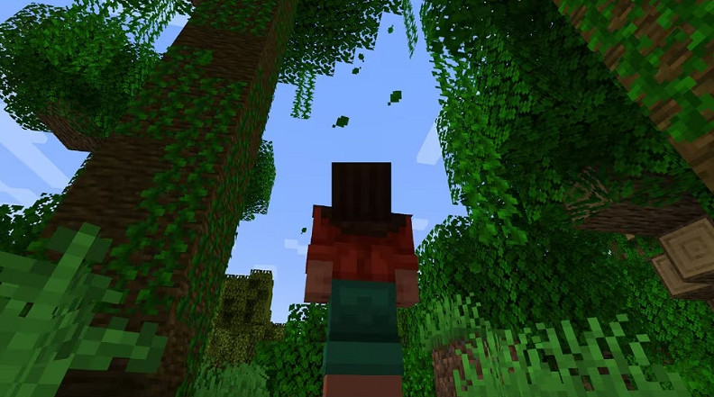 《minecraft》2025年首個更新!又是經典的mod官方收編 《minecraft》2025年首個更新!又是經典的mod官方收編