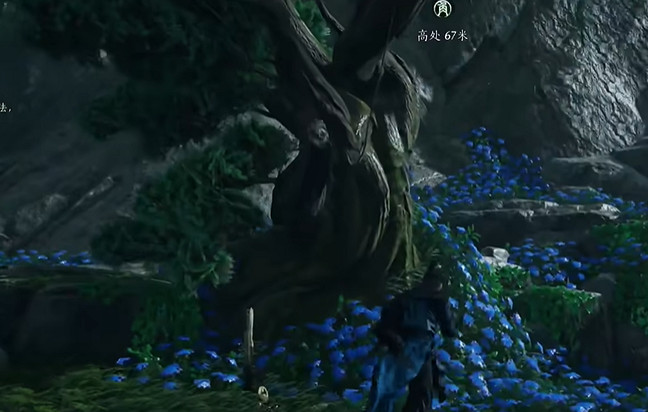 《燕雲十六聲》搖紅一夢藏寶圖4位置介紹