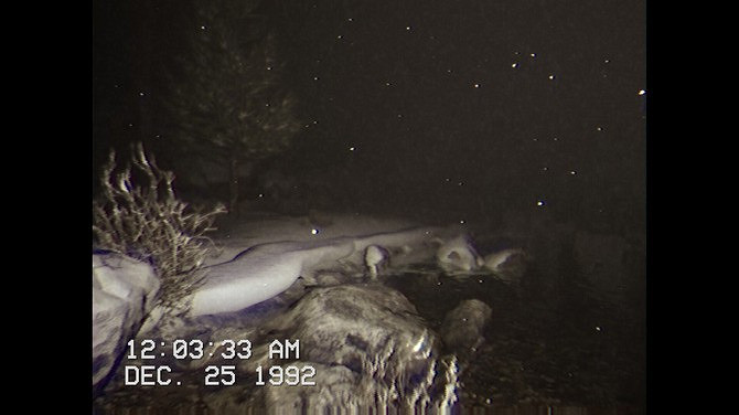 攝錄風偽紀錄片恐怖新遊《KLAWS》現已上線Steam平台 攝錄風偽紀錄片恐怖新遊《KLAWS》現已上線Steam平台