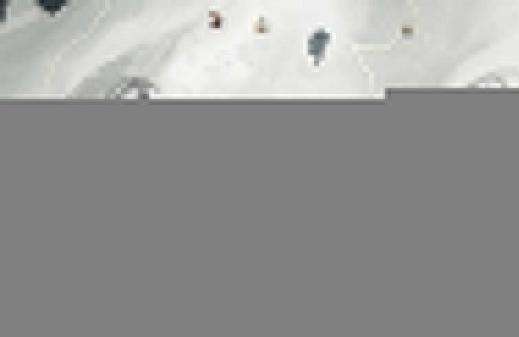 《燕雲十六聲》孫莽對話結交攻略 《燕雲十六聲》孫莽對話結交攻略