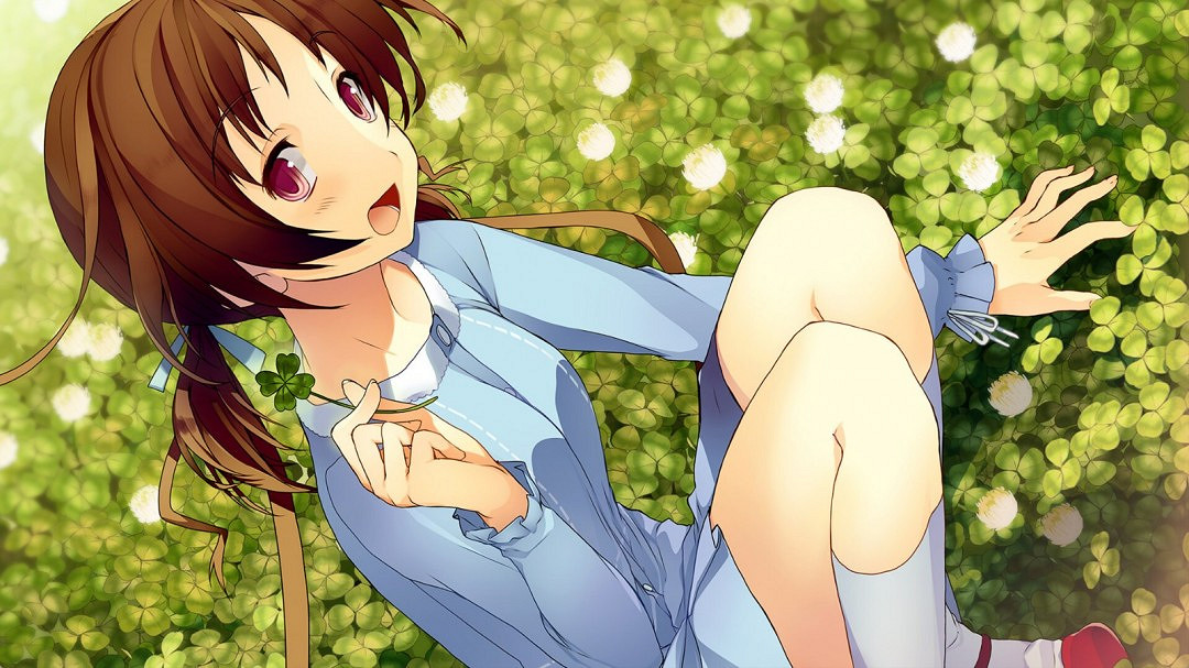 雪碧社作品《戀愛與選舉與巧克力》Steam頁面上線 年內發售