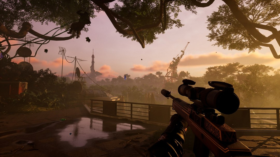 《潛行者》開發商新作《森林統治》公布 生存向FPS