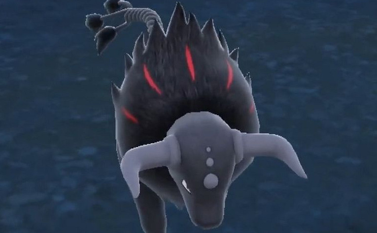 《寶可夢朱紫》帕底亞樣子的寶可夢一覽 《寶可夢朱紫》帕底亞樣子的寶可夢一覽