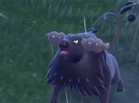 《寶可夢朱紫》帕底亞樣子的寶可夢一覽 《寶可夢朱紫》帕底亞樣子的寶可夢一覽