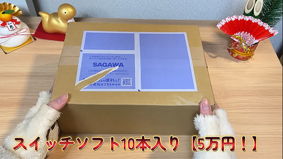 不算大冤種 日本玩家展示斥資5萬二手Switch遊戲福袋