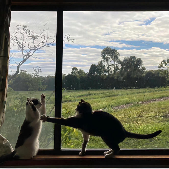 《英雄聯盟》清冷破碎感的ID推薦