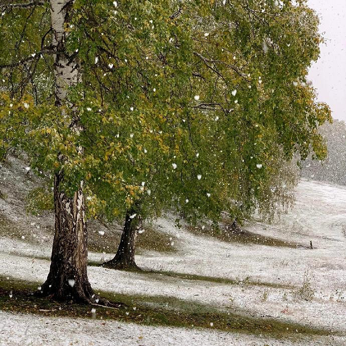 《英雄聯盟》清冷破碎感的ID推薦
