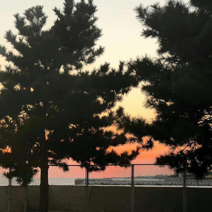 《英雄聯盟》清冷破碎感的ID推薦