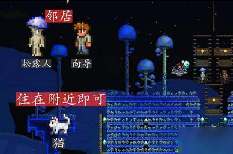 《泰拉瑞亞》幸福度住房安排攻略 《泰拉瑞亞》幸福度住房安排攻略