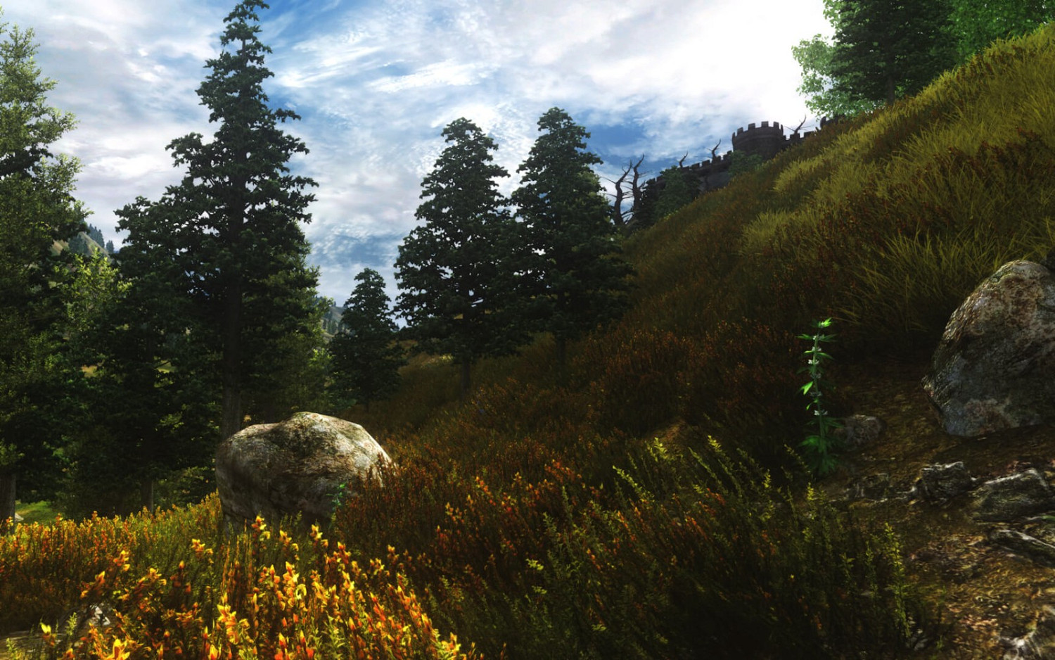 全面提升畫質 《上古卷軸4:湮滅》19GB高清材質包 全面提升畫質 《上古卷軸4:湮滅》19GB高清材質包