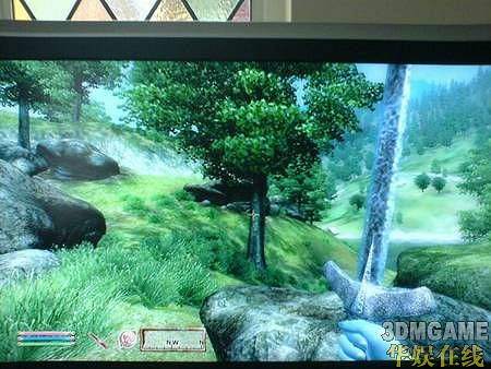 《上古卷軸4：湮沒》PC與360最高效果對比