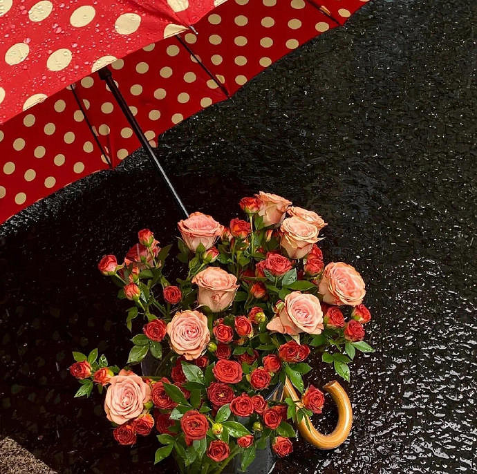 《英雄聯盟》女生網名慵懶偏冷淡風一覽