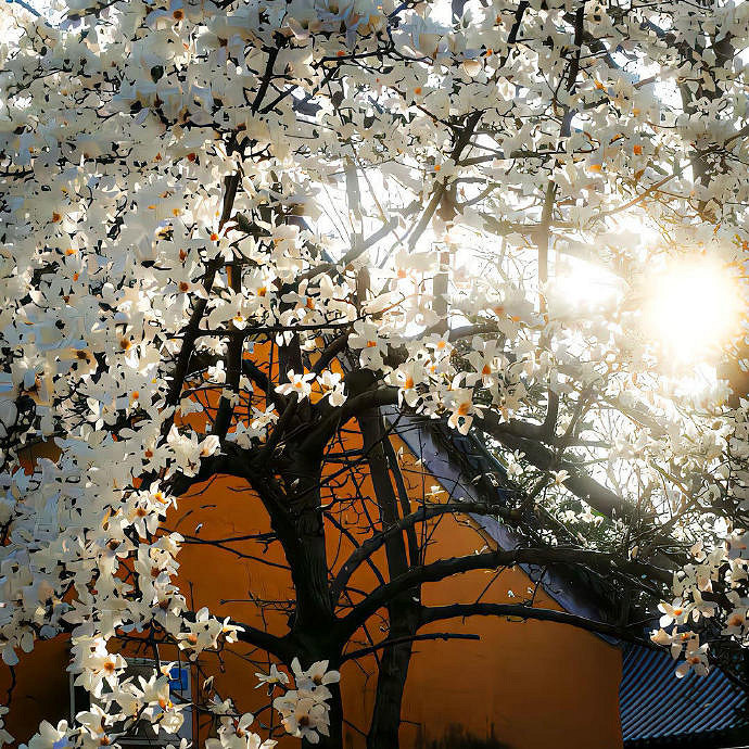 《英雄聯盟》女生網名慵懶偏冷淡風一覽