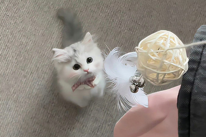 《英雄聯盟》女子佛系清冷網名三字大全