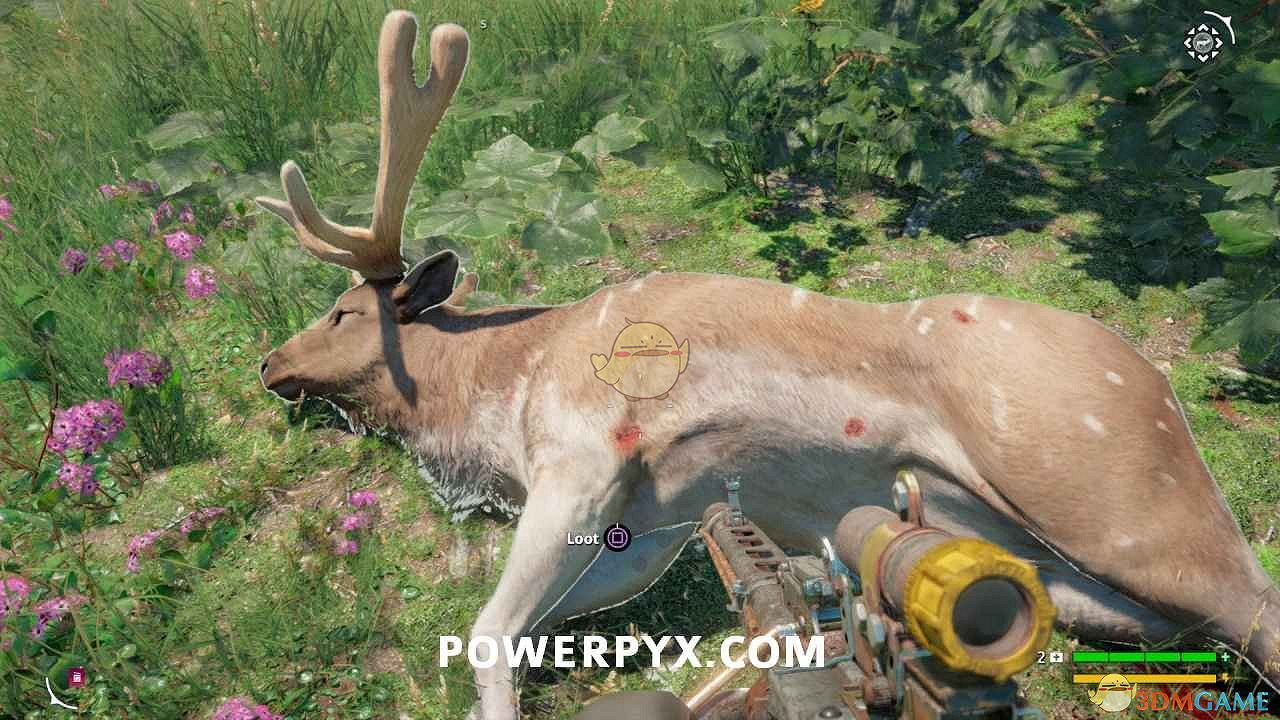 《極地戰嚎:新曙光》駝鹿狩獵位置指南 《極地戰嚎:新曙光》駝鹿狩獵位置指南