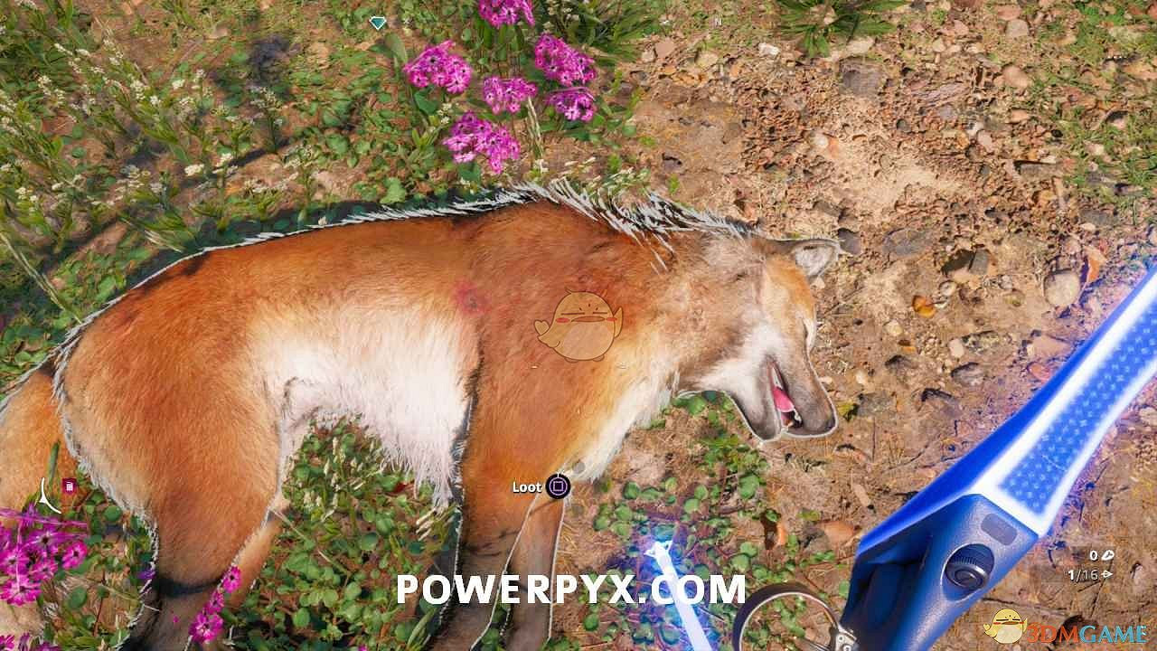 《極地戰嚎:新曙光》狼狩獵位置指南 《極地戰嚎:新曙光》狼狩獵位置指南