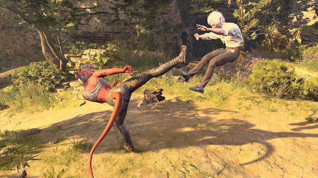 《柏德之門3》8號更新檔測試 全新拍照模式深受玩家喜愛